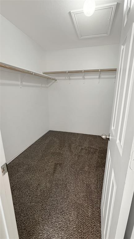 Building Photo - 133 Langtry Ln