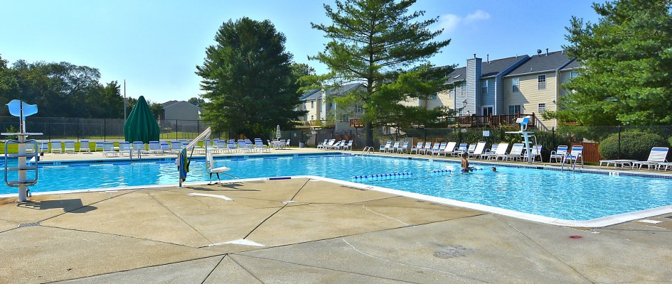 Large community pool - 1009 Simsbury Ct