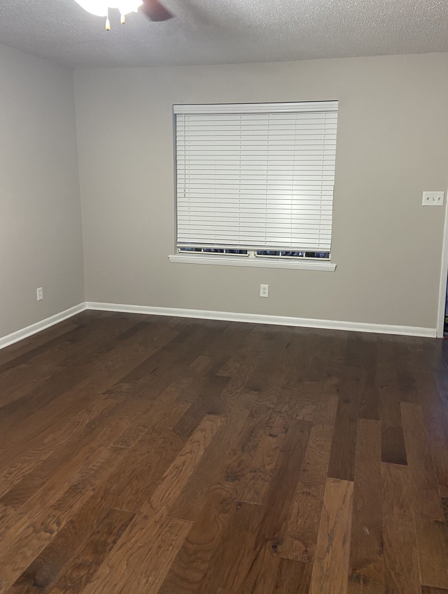 Living Room - 1425 Mineral Springs Rd