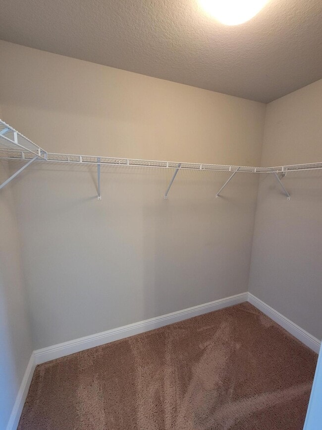 Building Photo - 8766 Brown Pelican Cir