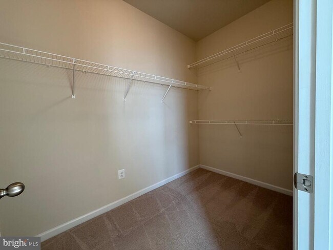 Building Photo - 2817 Shearwater Ln