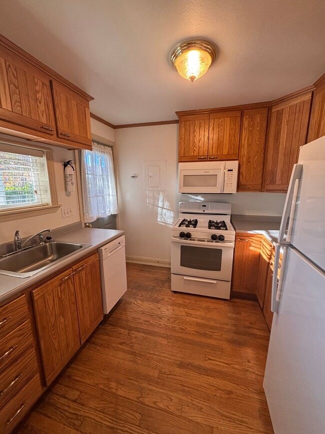 Building Photo - Beautiful Ground Level 1Bed/1Bath with outdoor space Close to Downtown Albany!