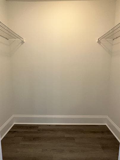 Building Photo - 1102 Cavil Hollins Ct