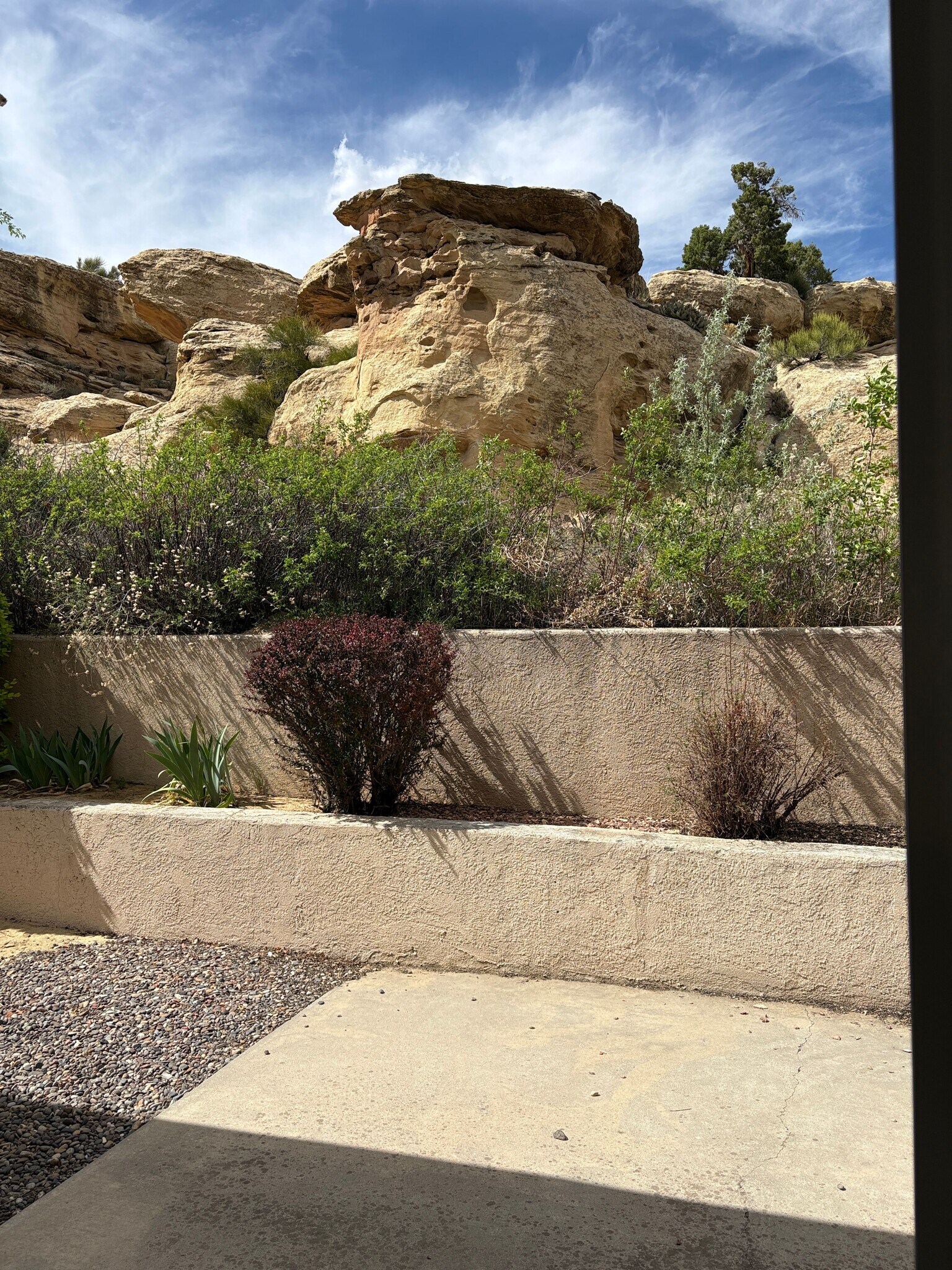 Building Photo - 401 Sand Cliff Ct