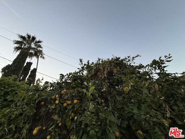 Building Photo - 23744 Hartland St