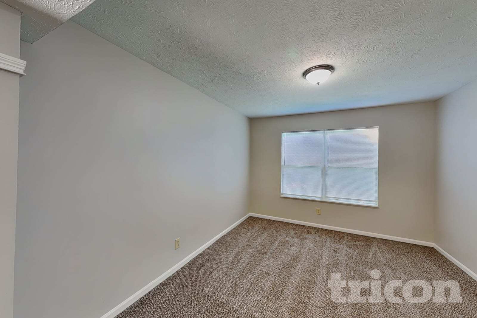 Building Photo - 1809 Woodstream Ct