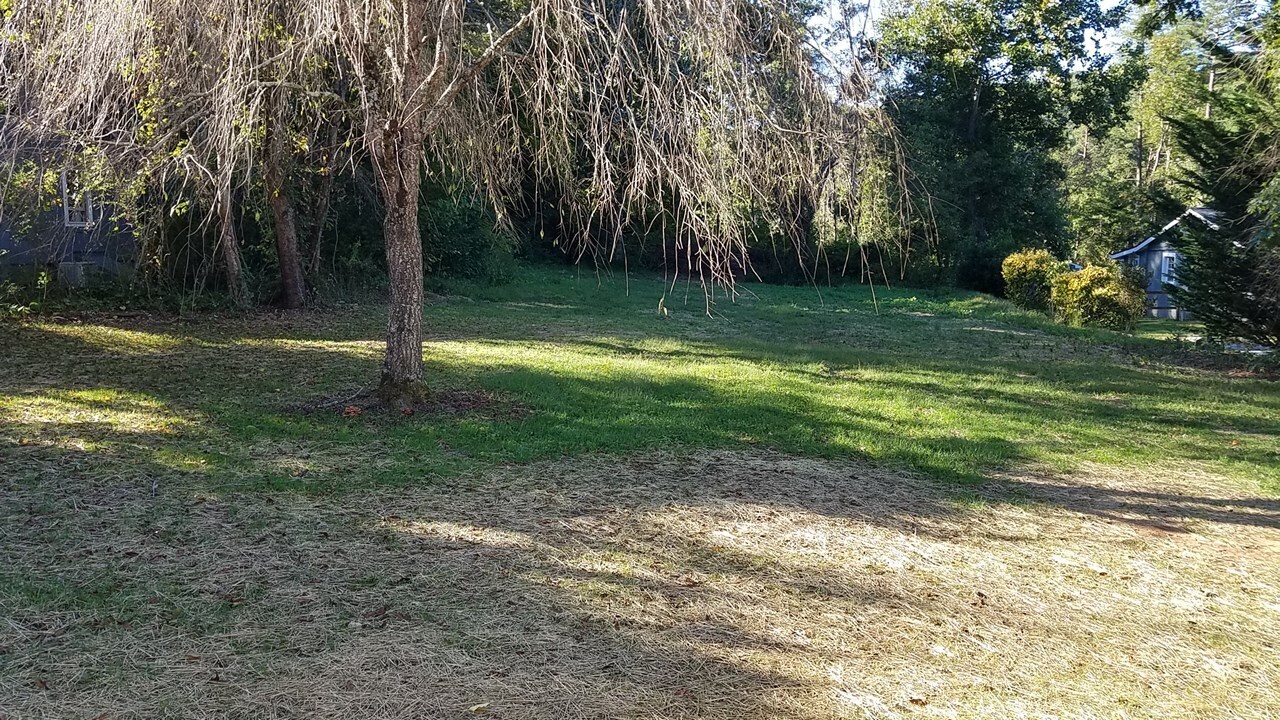 Backyard - 523 Stoney Mountain Rd