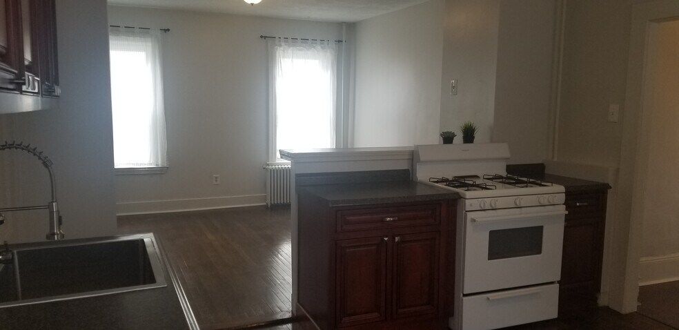 Sunny open kitchen into LR - 7 Shawmut Ter