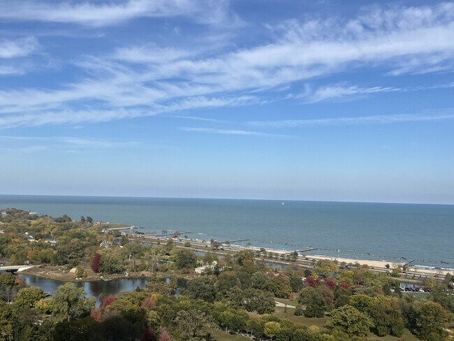 Building Photo - 1660 N La Salle Dr