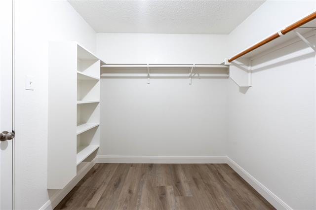 Building Photo - 2304 Glenhaven Dr