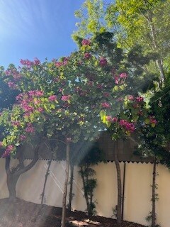 Building Photo - 8302 S Sepulveda Blvd