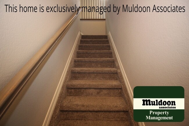 Building Photo - 7525 Mount Elbert Pt