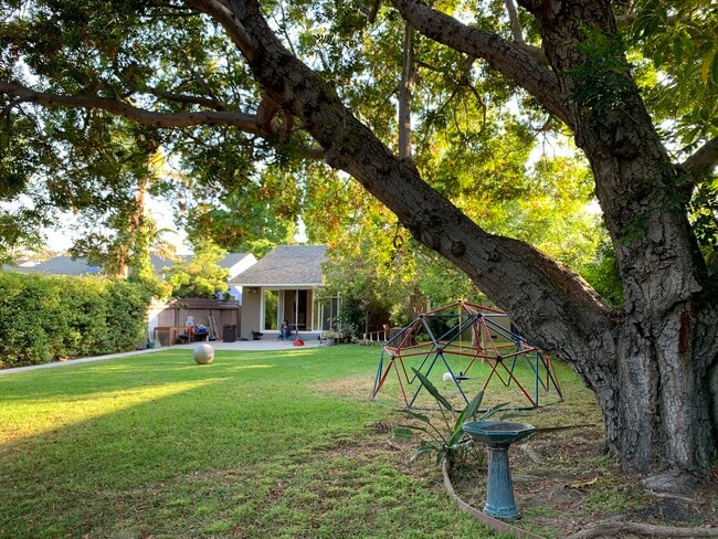 Yard in Summer - 3540 McLaughlin Ave