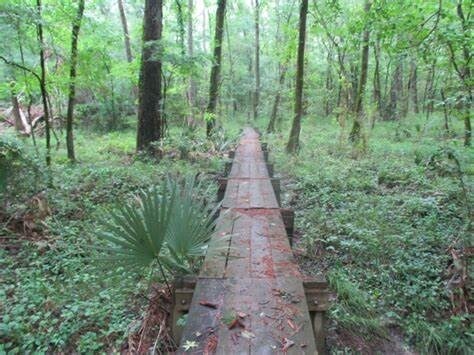 Building Photo - 1430 Natural Pine Trail
