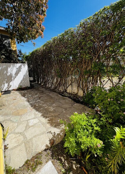 private yard - 3116 Colorado Ave