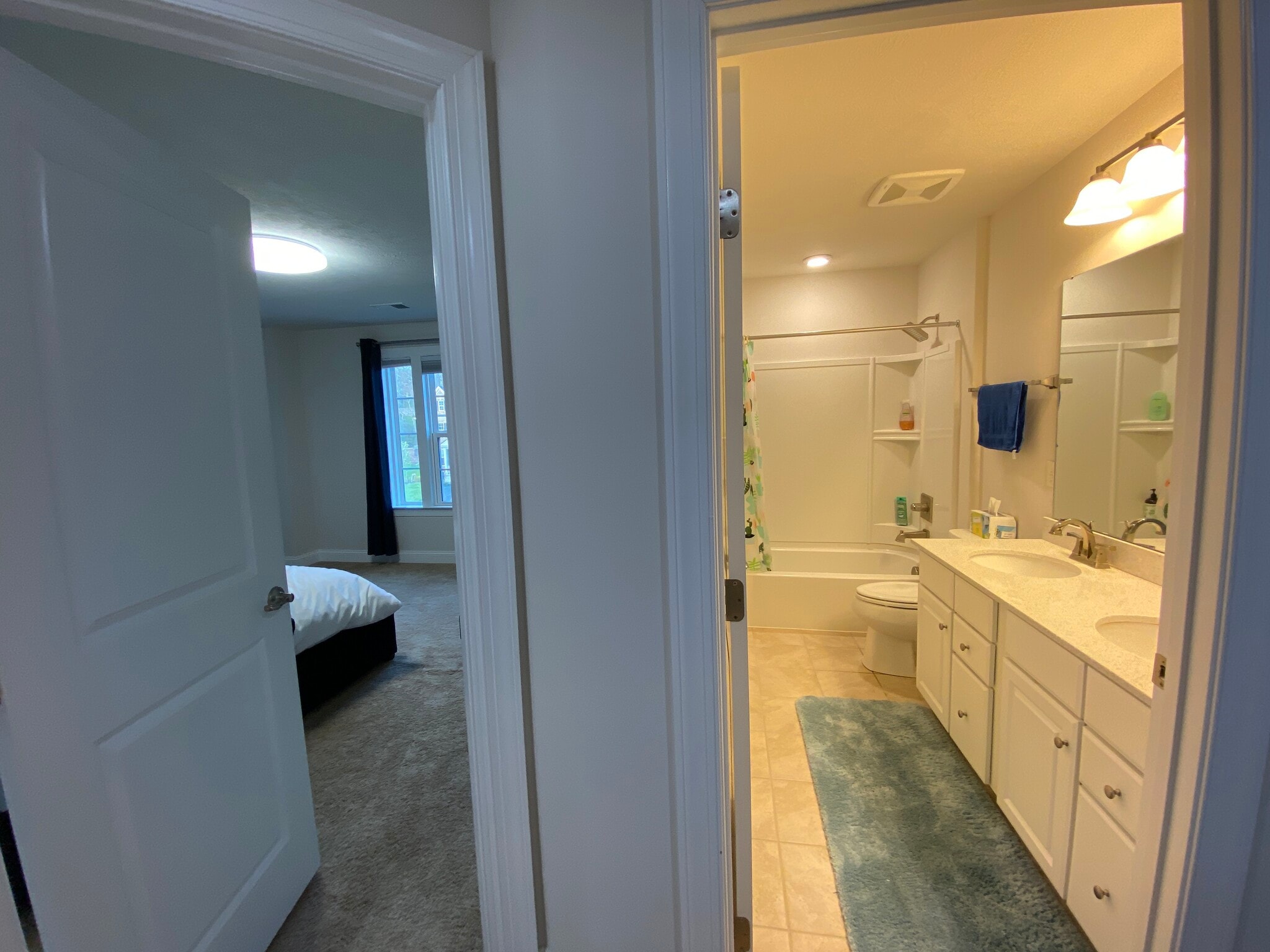 Hall Bathroom - 1709 Stevensan Dr