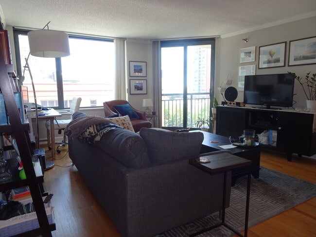 Building Photo - 480 N McClurg Ct