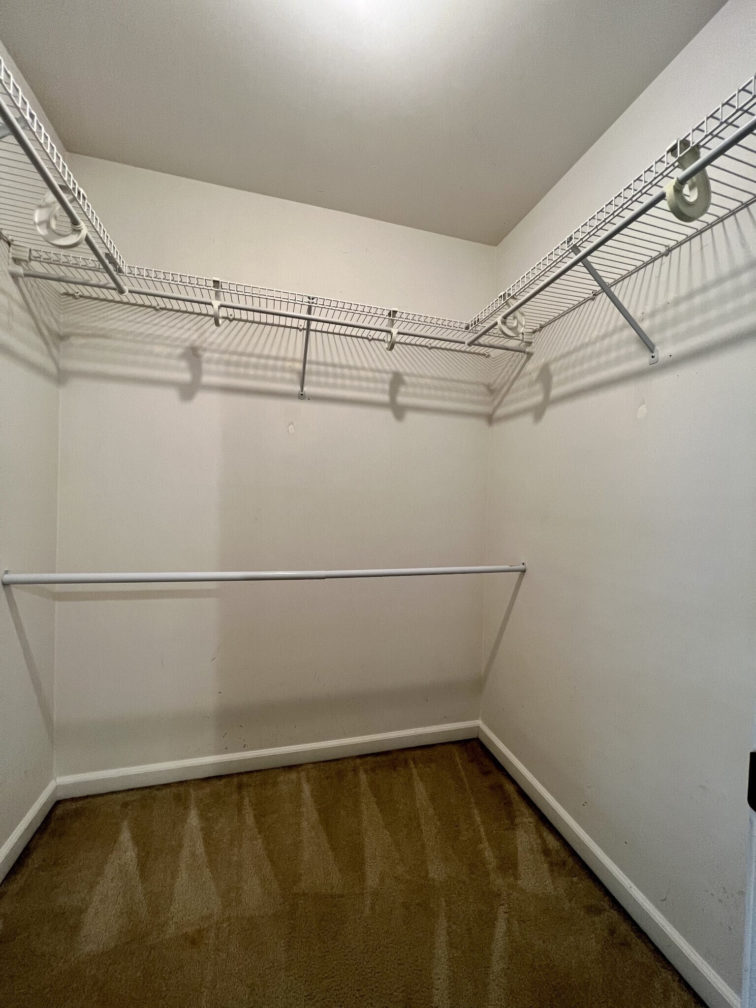 Building Photo - 116 Carriage Ct