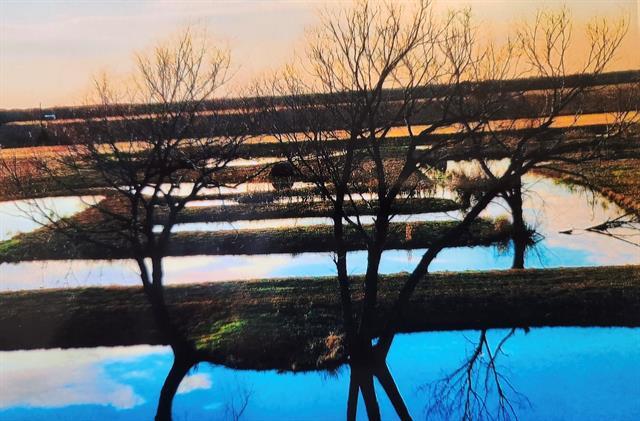 Building Photo - 4043 Co Rd 2626