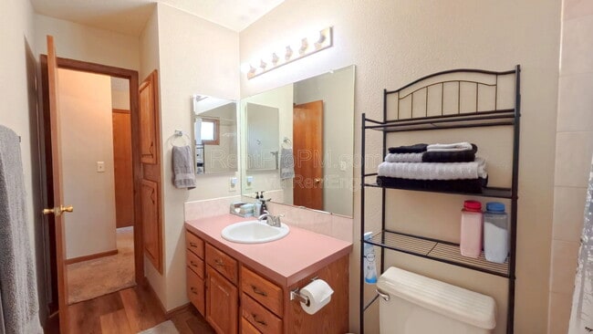 Building Photo - 3209 White Elm Ct