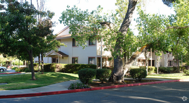 Building Photo - Casa Montego Apartments