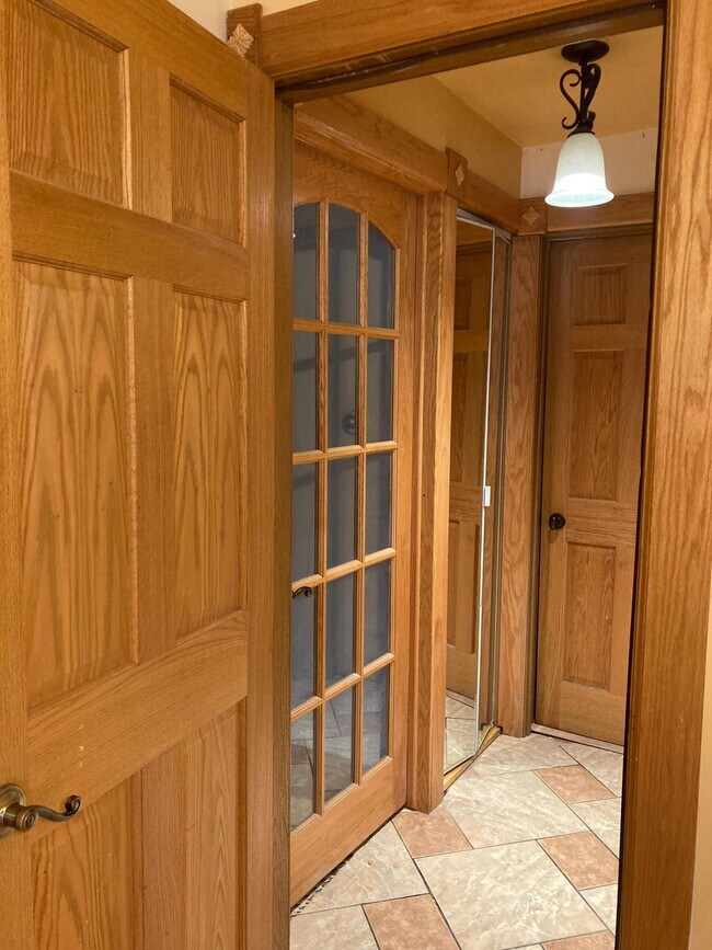Hallway with Mirror Closet - 520 N Wolf Rd