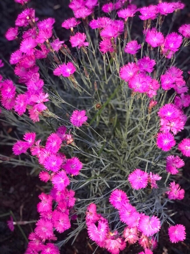 Building Photo - Heart's Desire End Unit Townhome 2700+ SqFt - Lowes Island