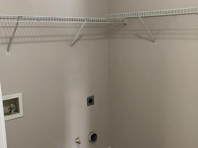 Building Photo - 1105 Thornebrooke Ct