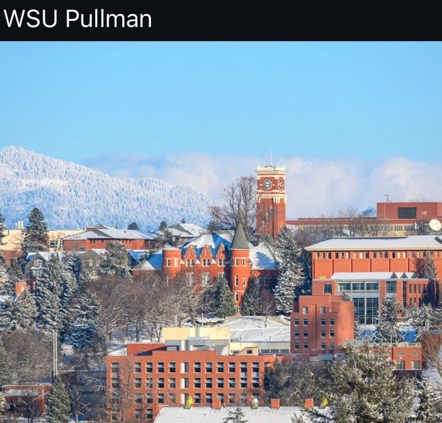 Building Photo - 1545 Capri Ct