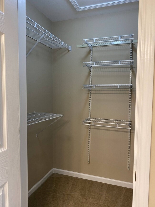 Building Photo - 2824 White Thorn Cir