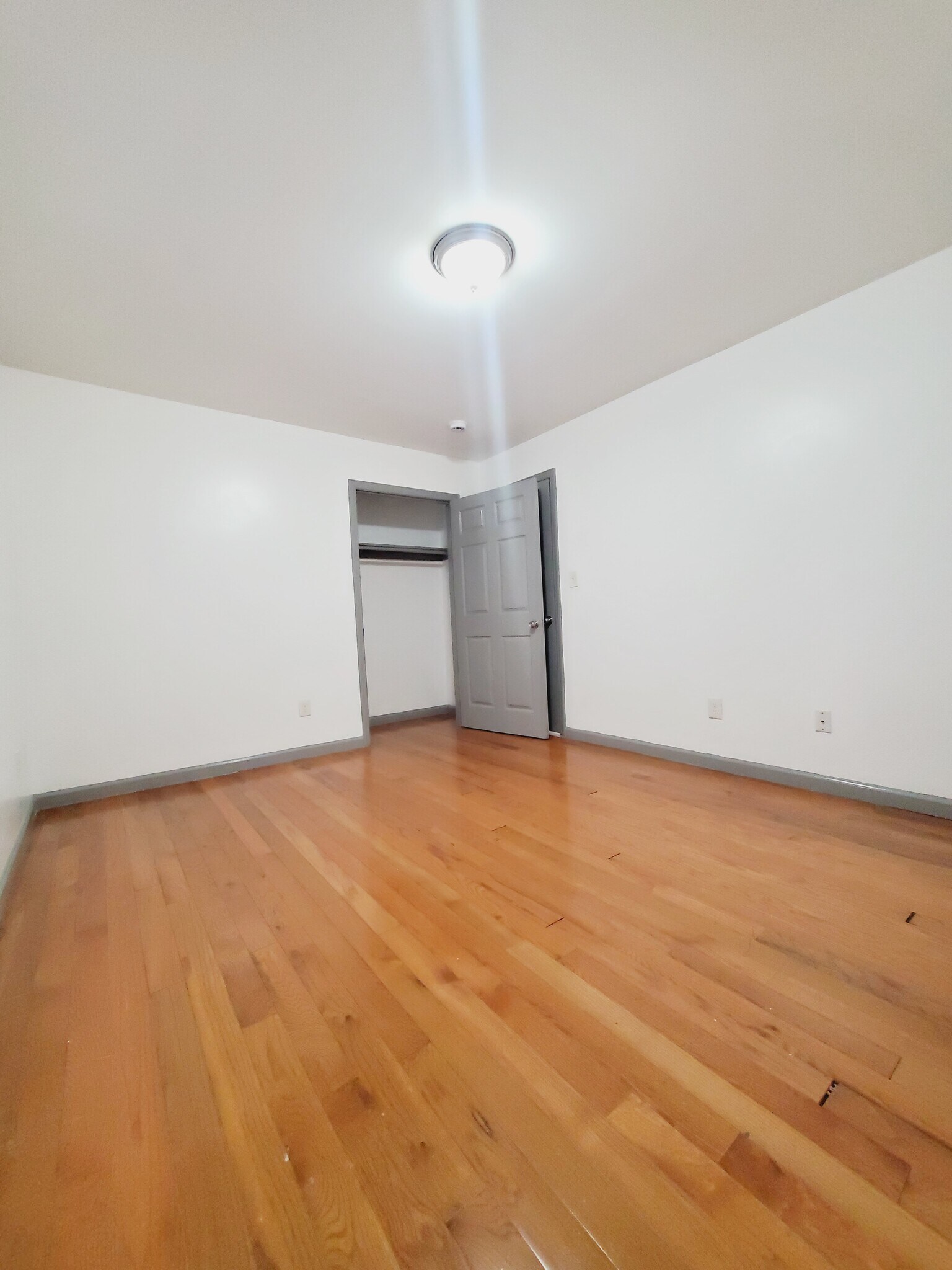 Building Photo - 19 Parnell Pl
