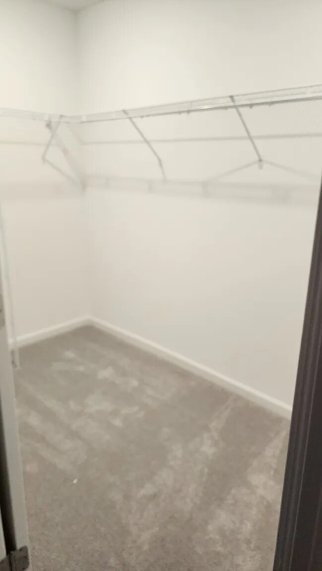 Building Photo - 4386 Leeward Breeze Lp