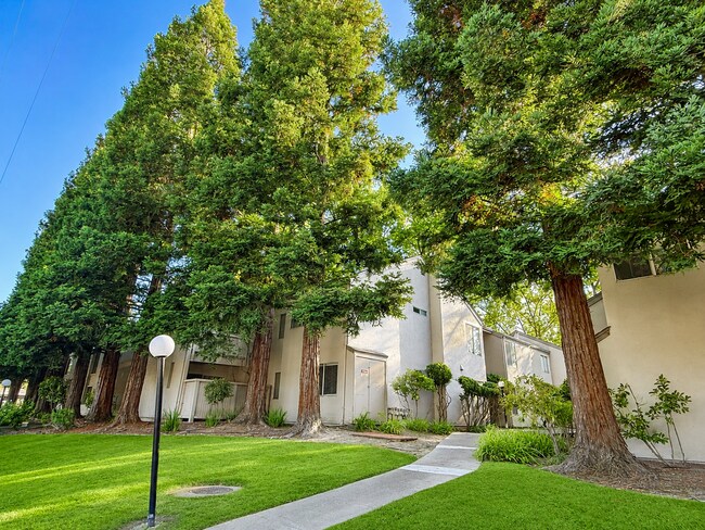 Building Photo - 997 Madrone Rd