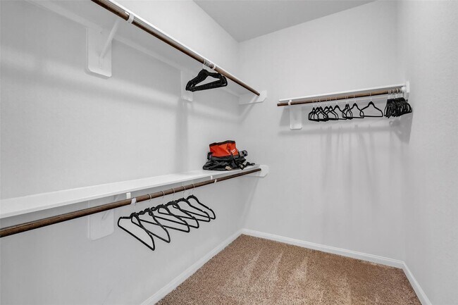 Building Photo - 24902 Landolfi Dr