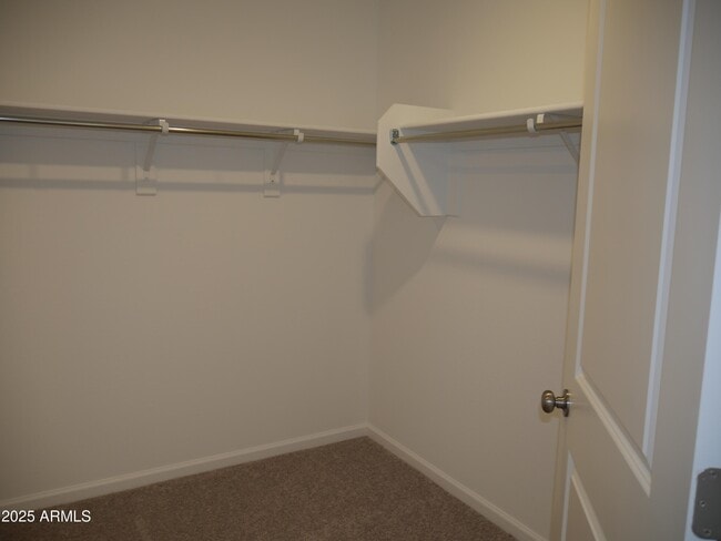 Building Photo - 1397 E Peggy Dr