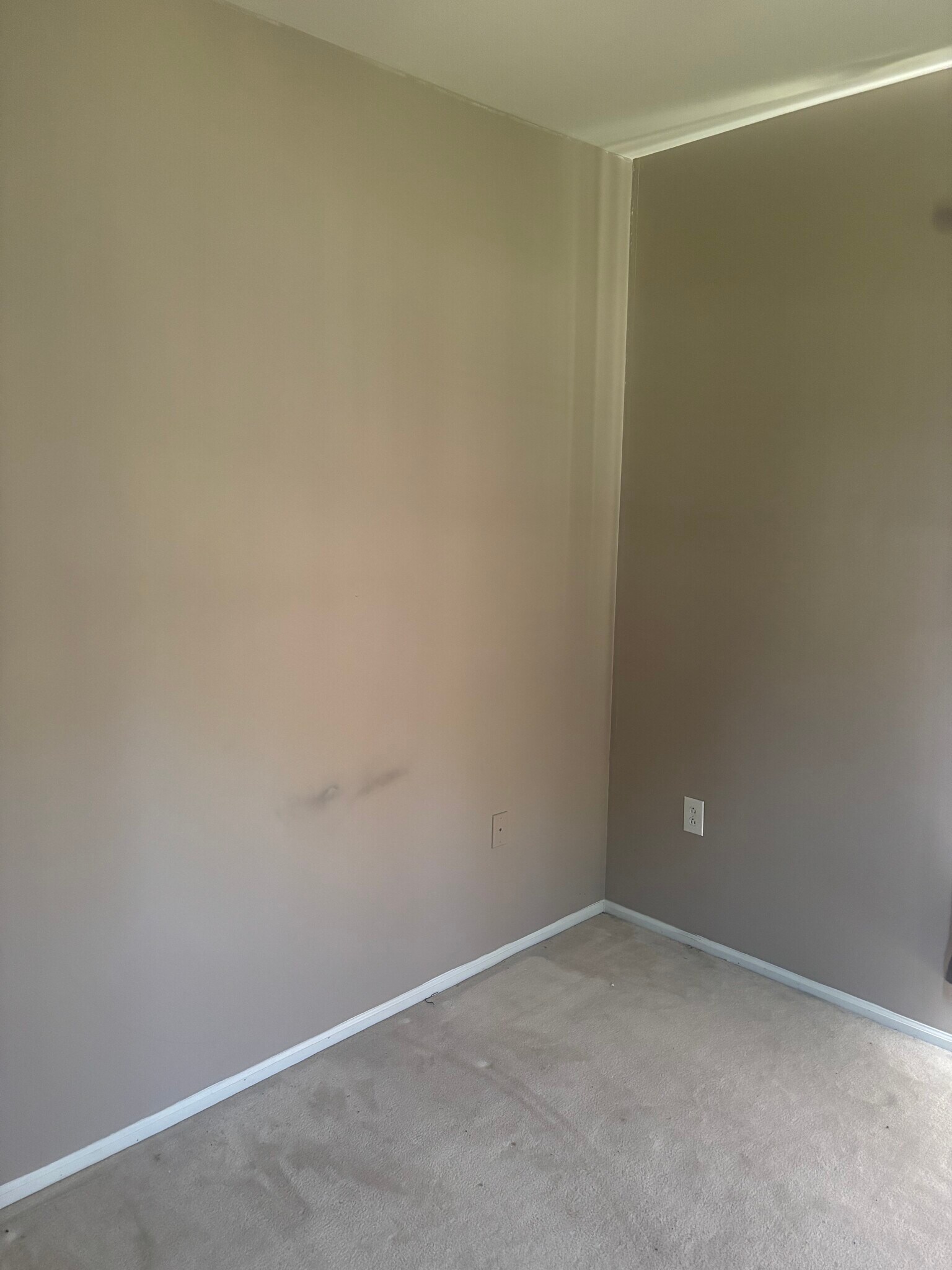 Building Photo - 9315 Groffs Mill Dr
