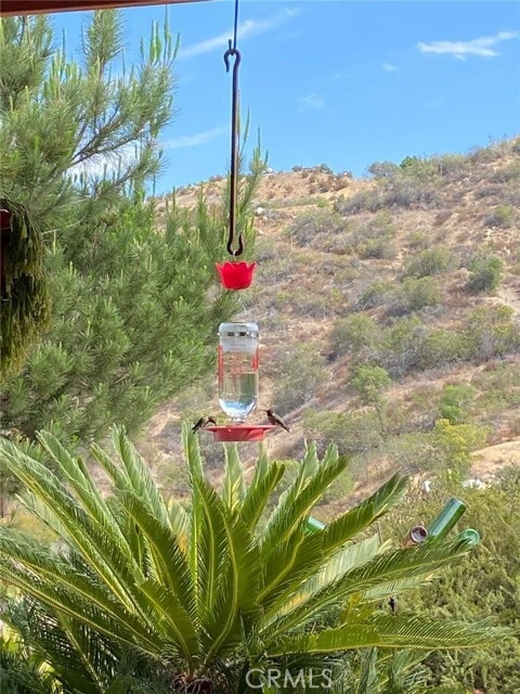 Building Photo - 2445 Helen Rd