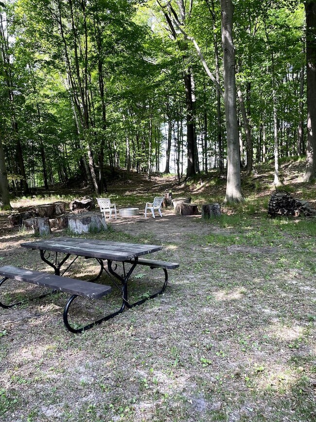 Backyard - 5804 Barnhart Rd