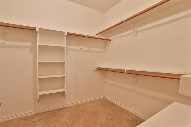 Building Photo - 11921 Kingsville Dr