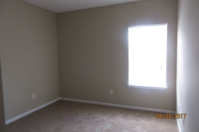 Building Photo - Brand New 302