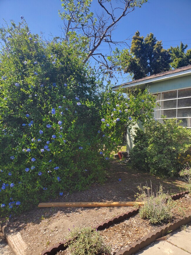 Primary Photo - 5705 Cologne St