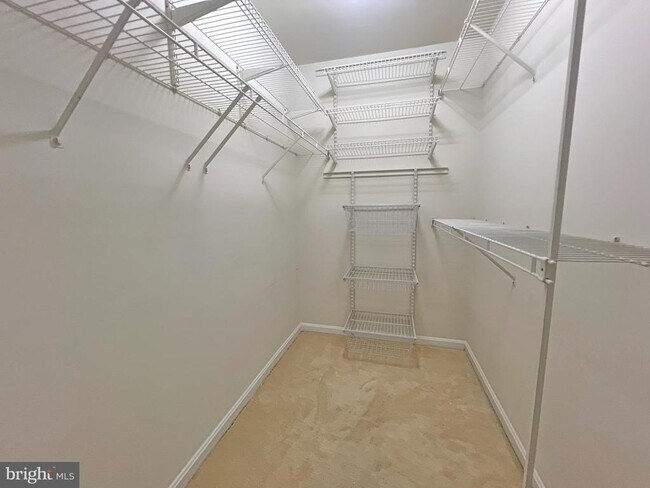 Building Photo - 1191 Cypress Tree Pl