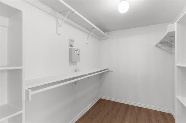 Building Photo - 4824 Spanish Moss Dr