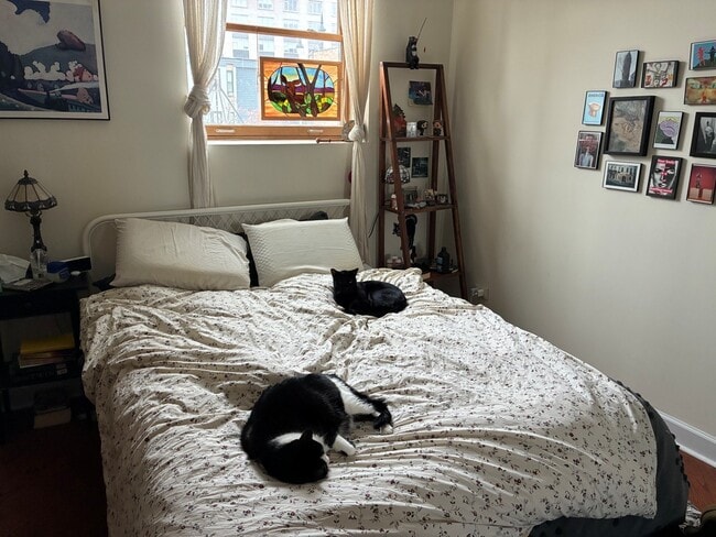 Building Photo - 1531 W Hollywood Ave