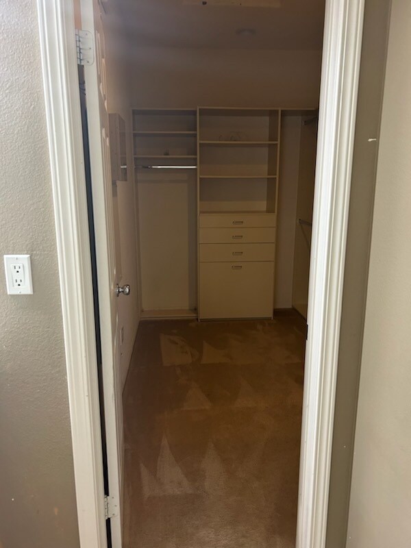 Building Photo - 1632 Serval Way