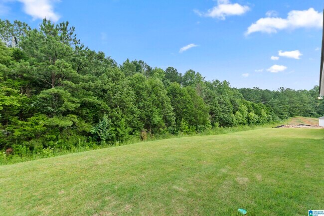 Building Photo - 341 Archers Brk Ln