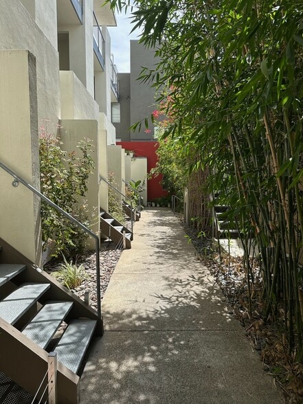 entry walkway - 941 W Hawthorn St