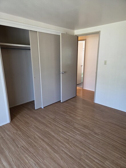 Large closet in the master bedroom with an additional walk-in closet for storage. - 102 Stonecrest