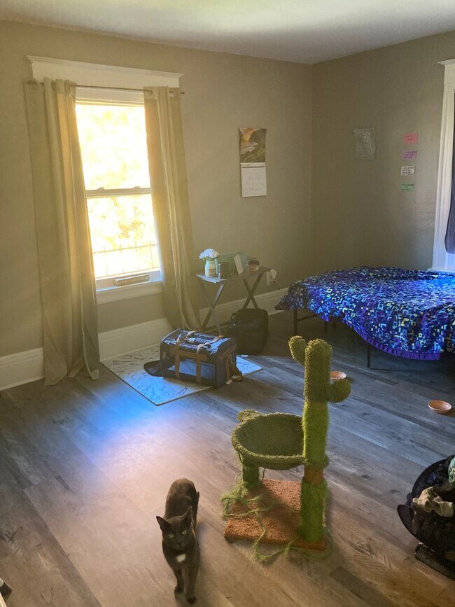 Building Photo - 391-393 Flower City Park