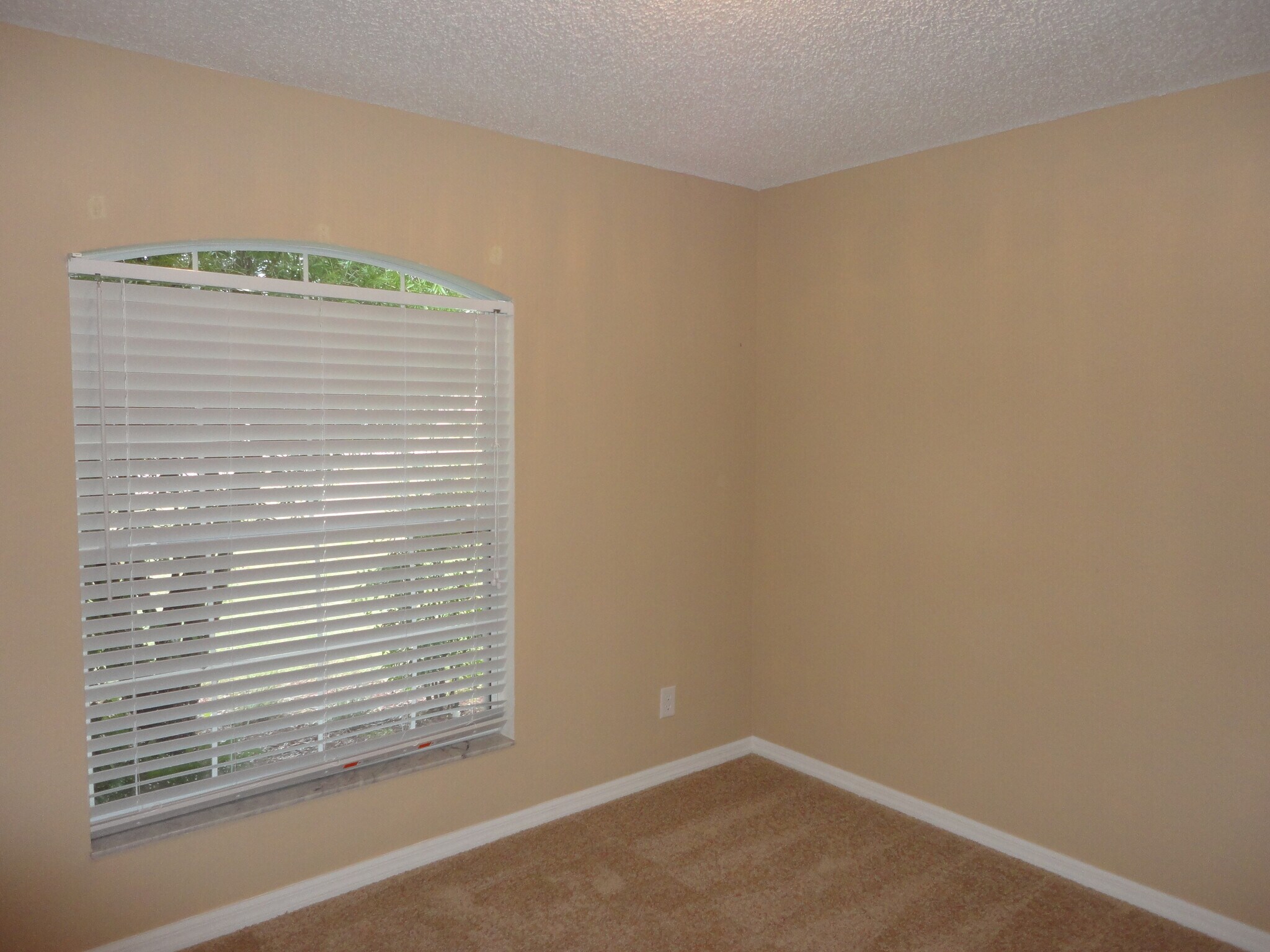 Building Photo - 648 Winding Lake Dr